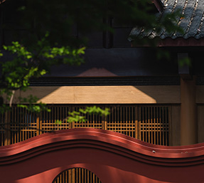 飞龙app游戏飞龙篮球竞猜 x 除夕丨心归家 即团圆